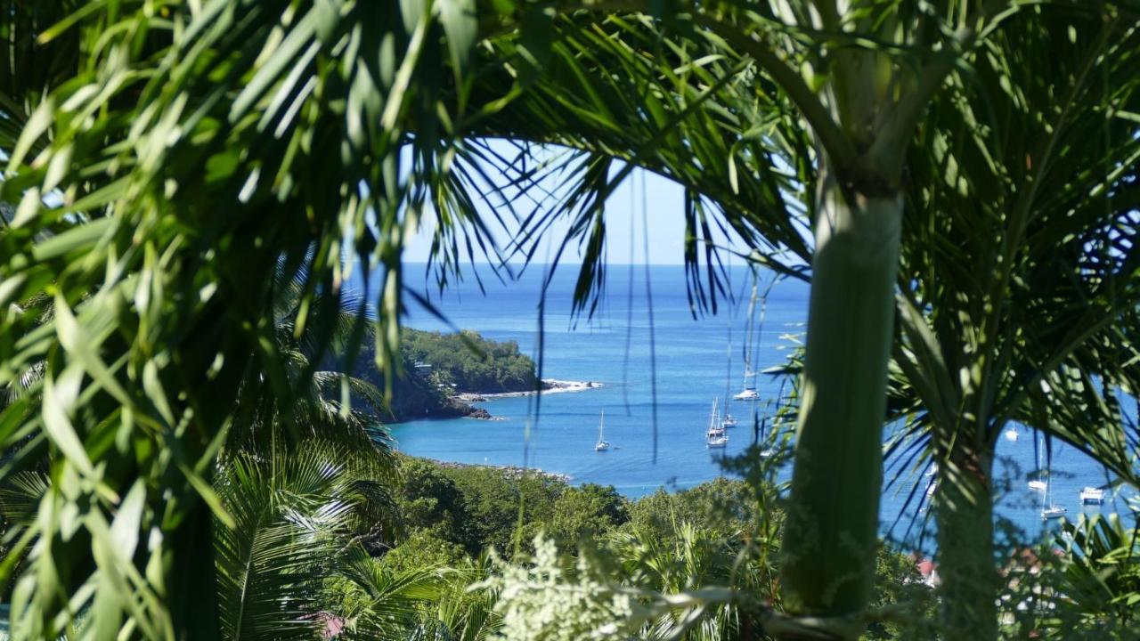 O Coeur De Deshaies Appartements Grande Anse Et Amandiers Exterior photo